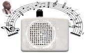 Srila Prabhupada Sound Box